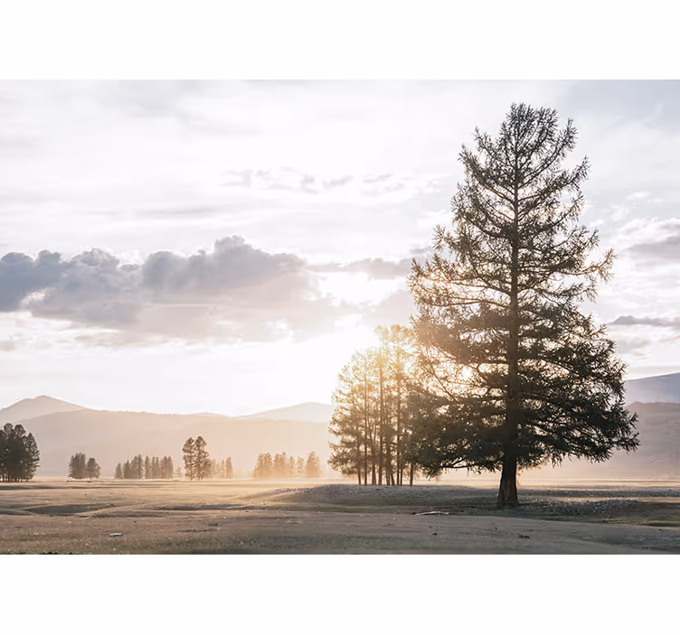Nature wall mural serene pine silhouette - TenStickers