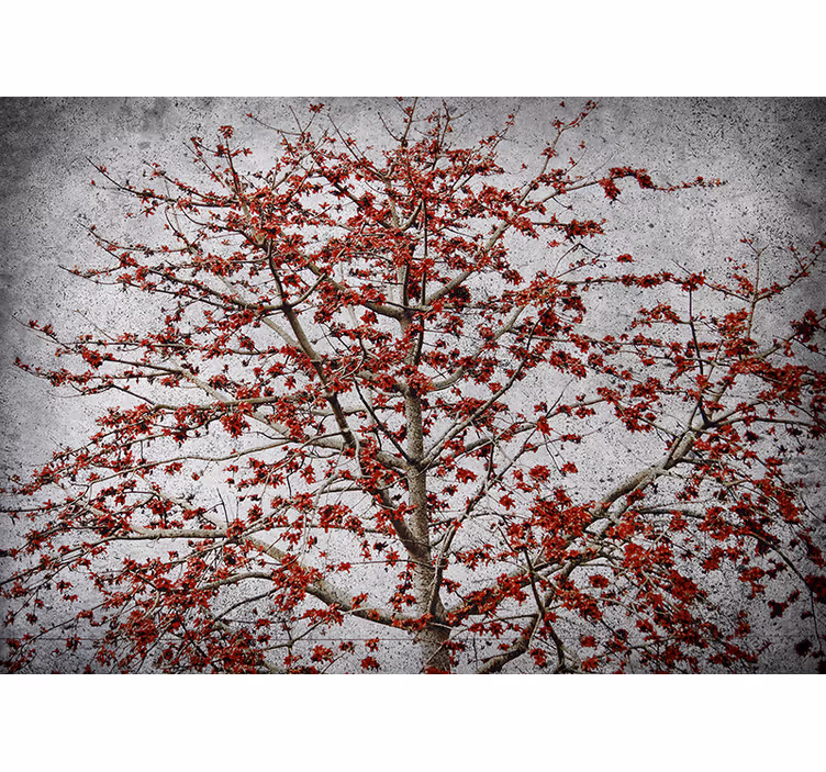 Red blossom tree flower wall mural - TenStickers