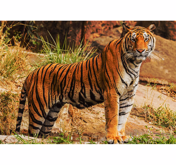 Animal wall mural majestic tiger presence - TenStickers