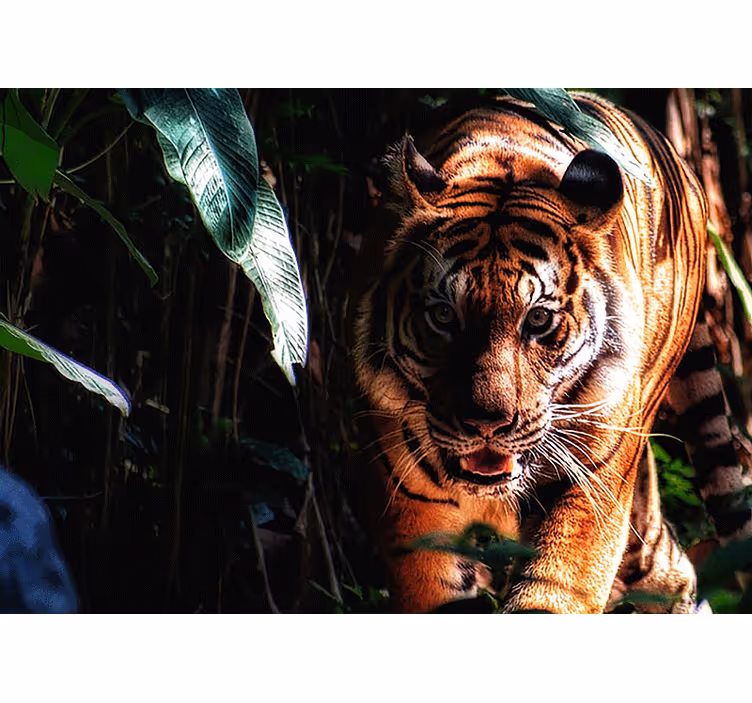 Animal wall mural majestic tiger stalks - TenStickers