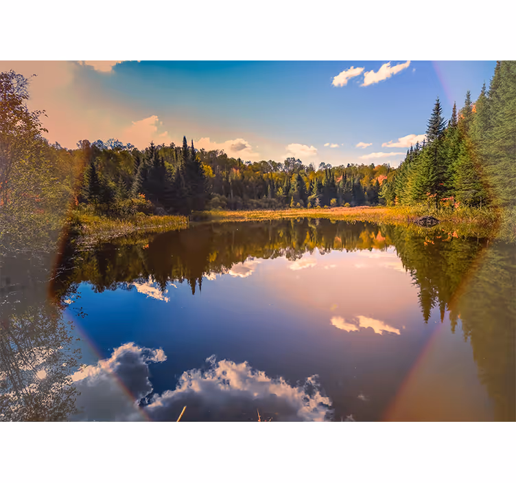 Tranquil water mirror landscape wall mural - TenStickers