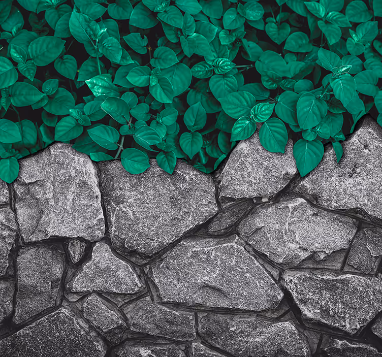 Lush Greenery Contrast nature wall mural - TenStickers