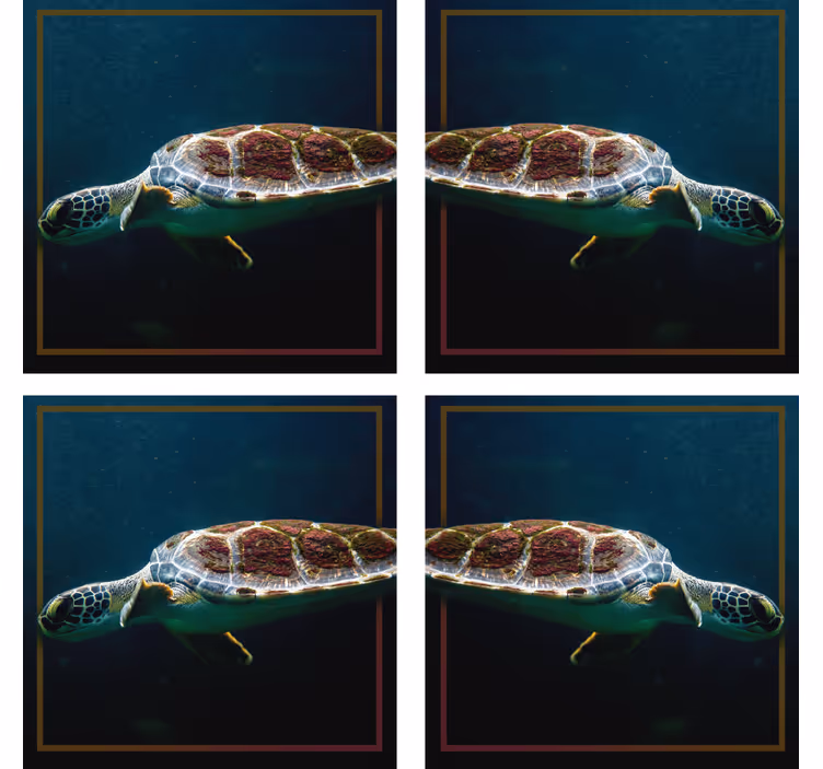Swimming Turtle Animal Coaster - TenStickers