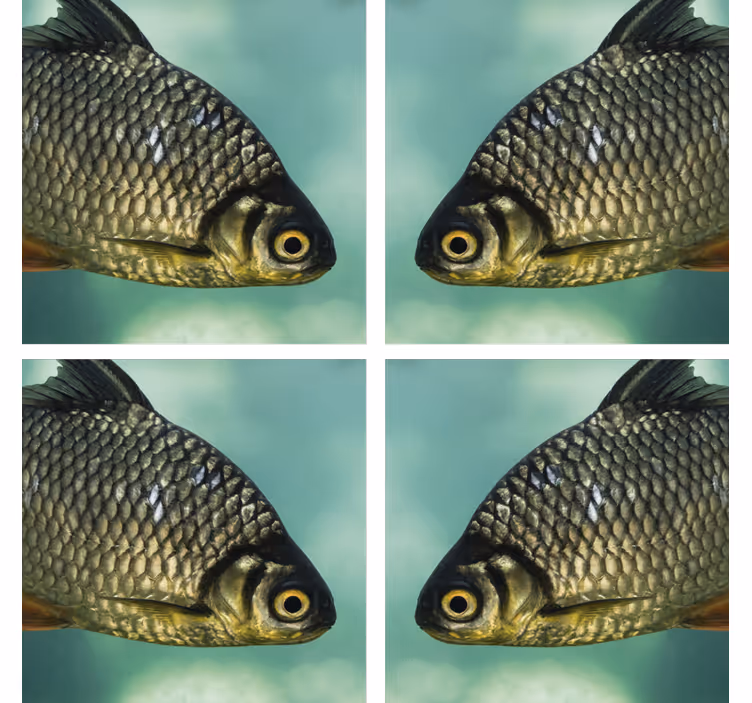 Geek coasters with realistic fish images - TenStickers