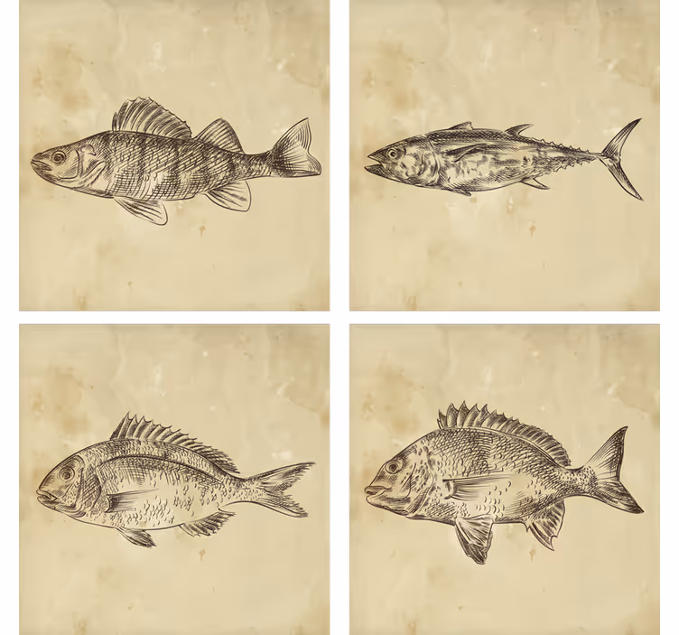 Fabulous vintage drawn fish coaster - TenStickers