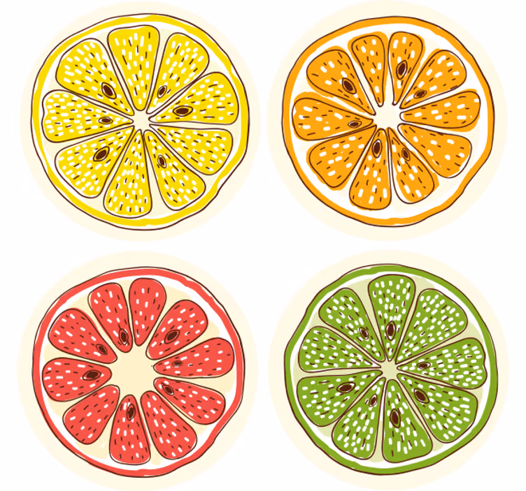 Citrus Slice Motifs geek coasters - TenStickers