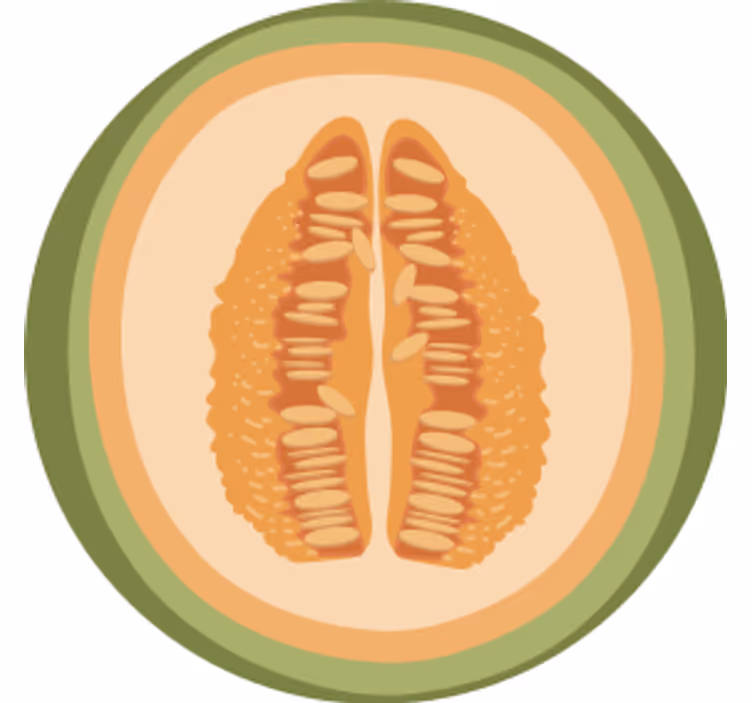 Geek coasters with fruit slice designs - TenStickers