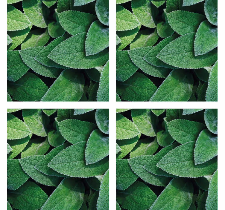 Vibrant green leaf motif coasters - TenStickers