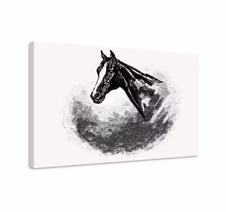 Horse wall art graphite horses drawing - TenStickers