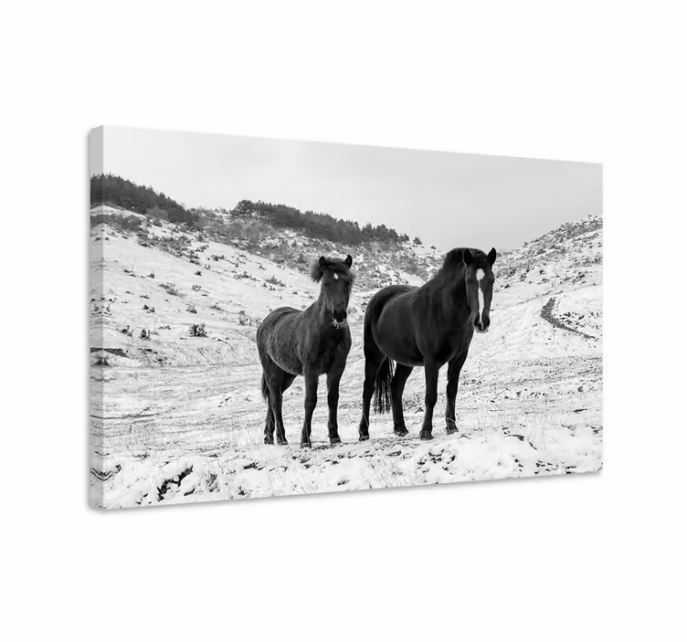 Horse wall art horses in the snow - TenStickers