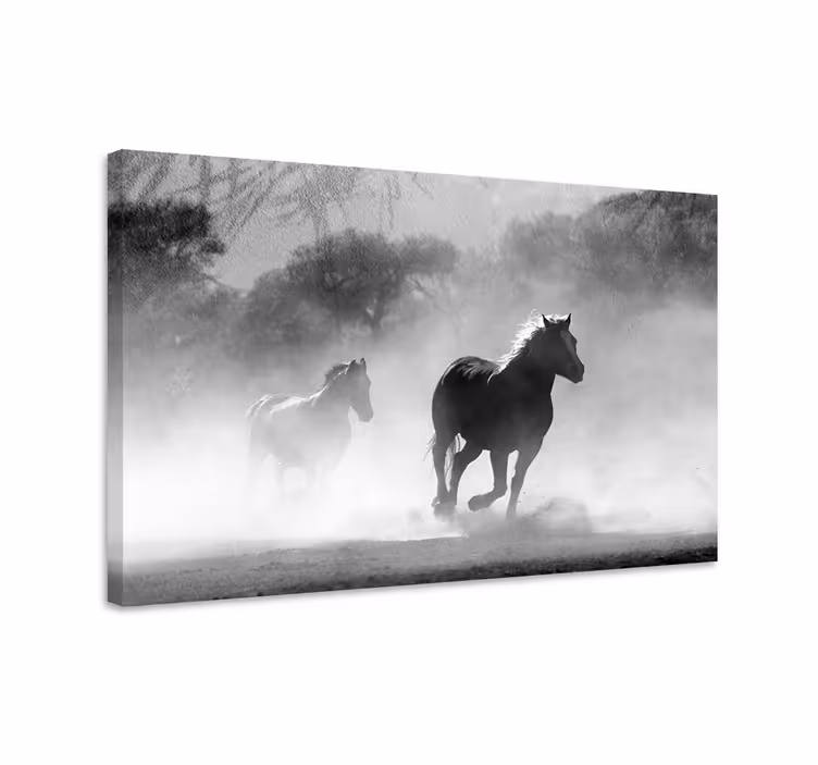 Horse wall art white and black horse - TenStickers
