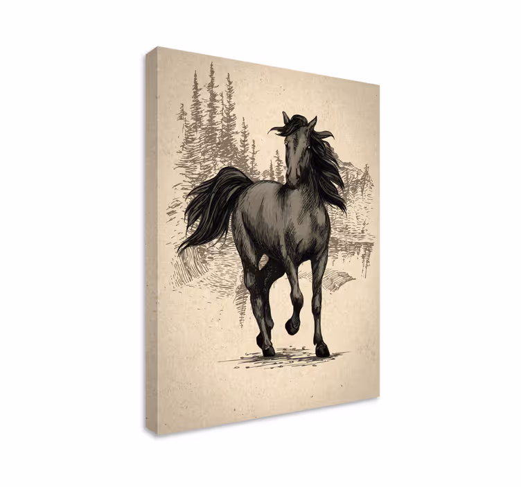 Horse wall art drawn in beautiful detail - TenStickers