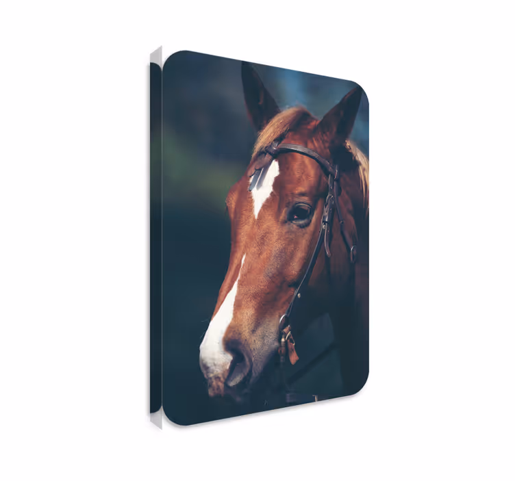 Horse wall art horse head painting - TenStickers