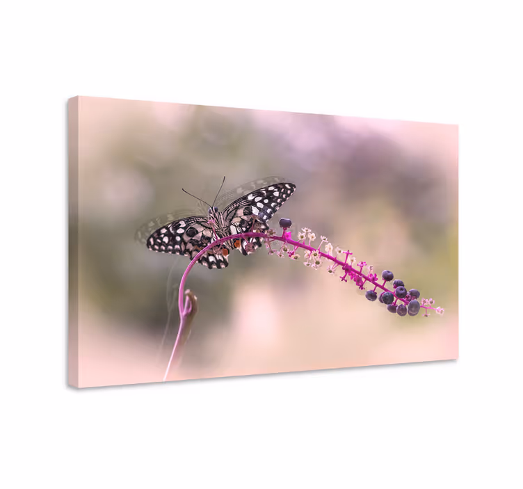 Butterfly canvas purple butterfly - TenStickers