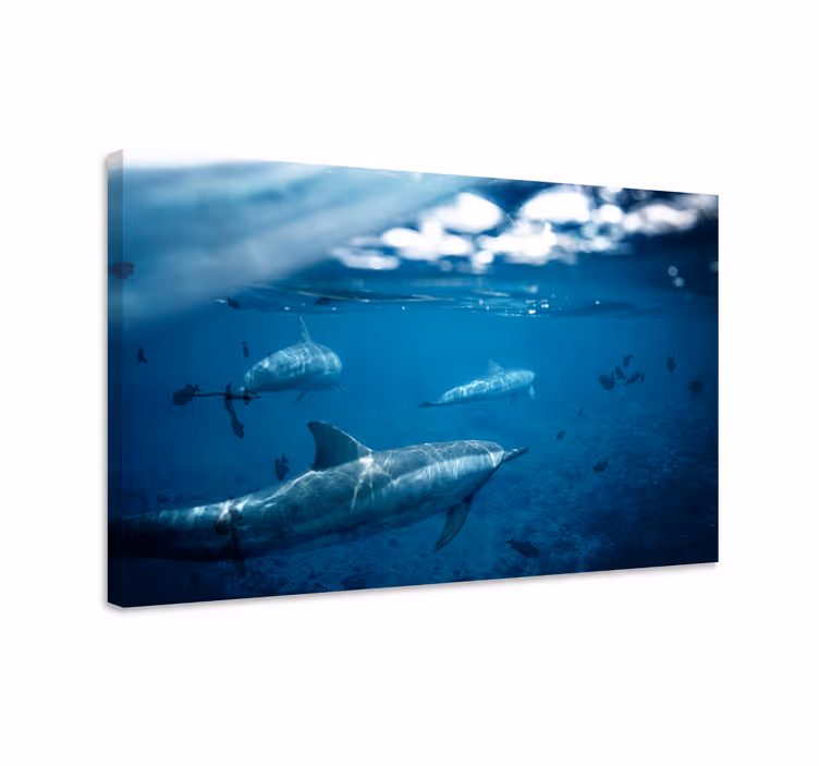Fish canvas of dolphins and fishes - TenStickers