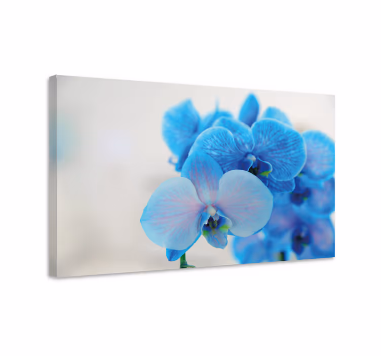 Flowers canvas blue orchid blossoms - TenStickers