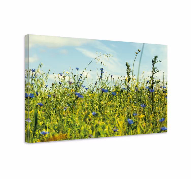 Flowers canvas wildflower meadow landscape - TenStickers