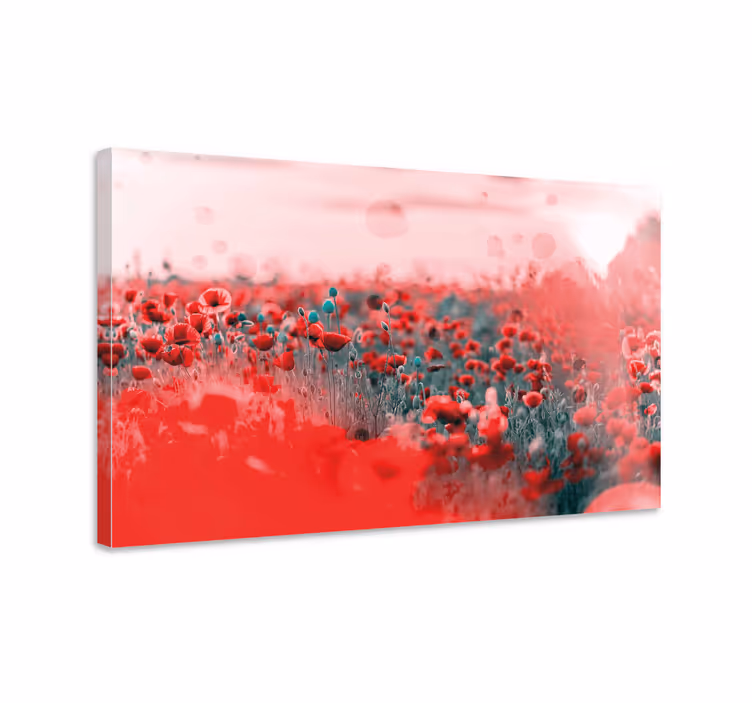 Flower canvas lively poppy meadow art print - TenStickers