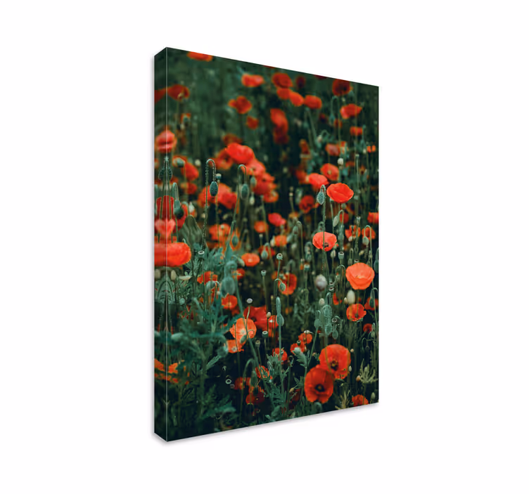 Flowers canvas red wildflowers field - TenStickers
