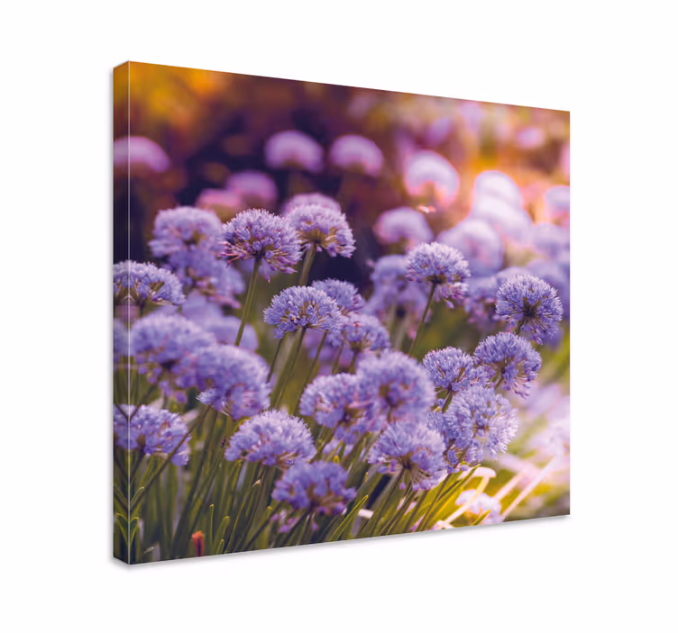 Purple flower field flower canvas - TenStickers