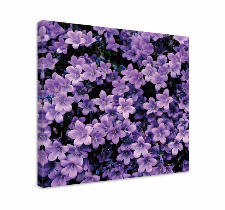 Vague purple flowers flower canvas - TenStickers