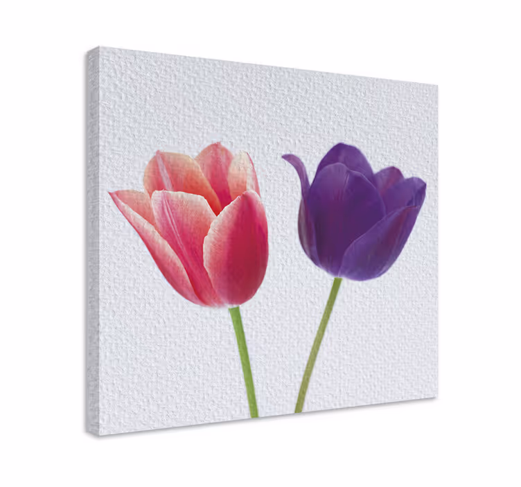 Flowers canvas tulip bouquet - TenStickers