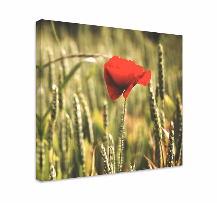Red flower bloom flowers canvas - TenStickers