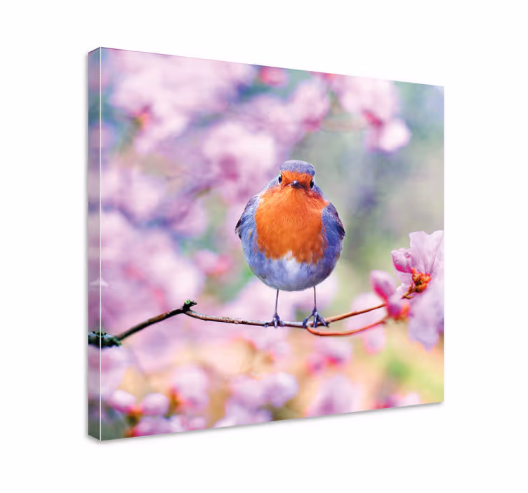 Bird canvas wall art charming robin perched - TenStickers