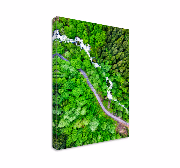 Landscape canvas winding forest river art - TenStickers