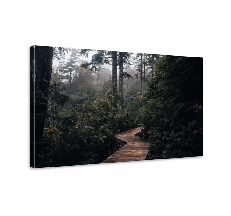 Wooden path in nature landscape canvas - TenStickers
