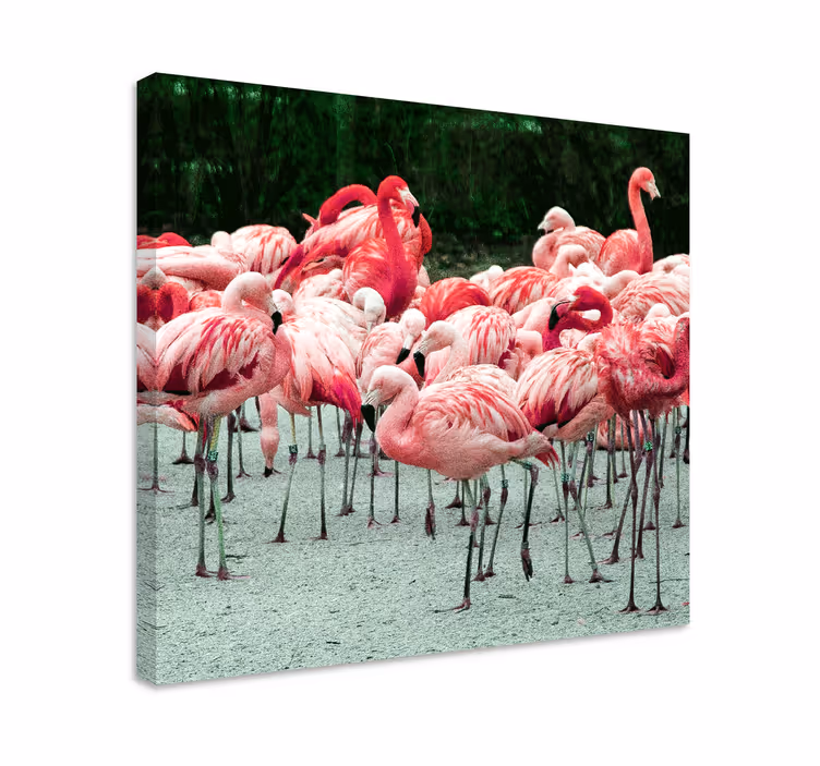 Bird canvas wall art flamingo flock - TenStickers