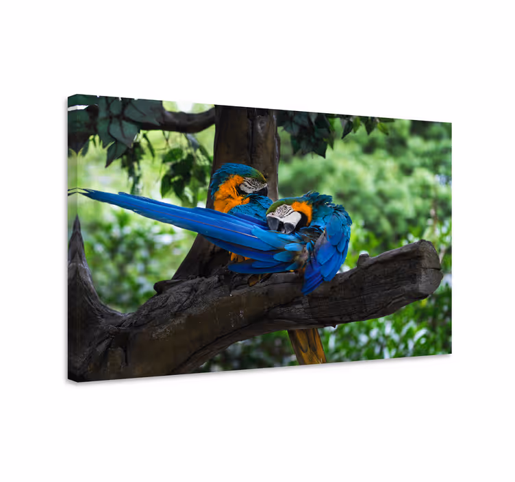 Dog wall art colorful parrots duo - TenStickers