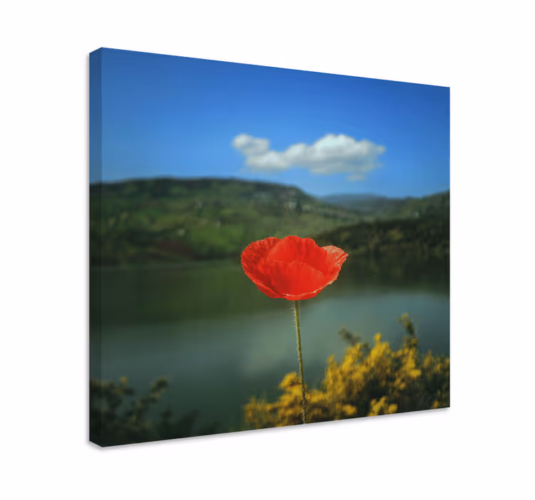 Flowers canvas red poppy blossom - TenStickers