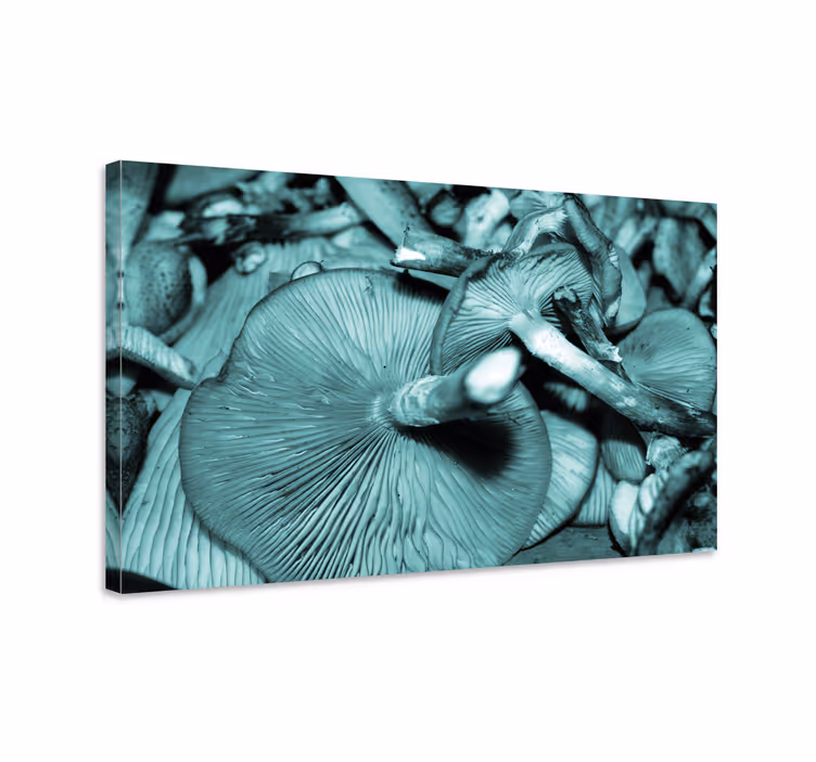 Flowers canvas mushroom expansion - TenStickers