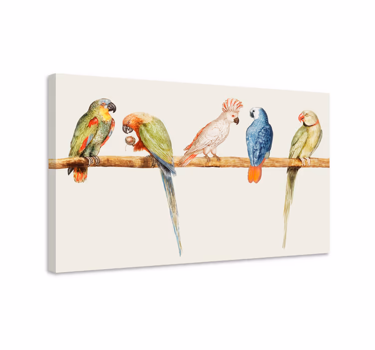 Bird canvas wall art colorful parrot collection - TenStickers