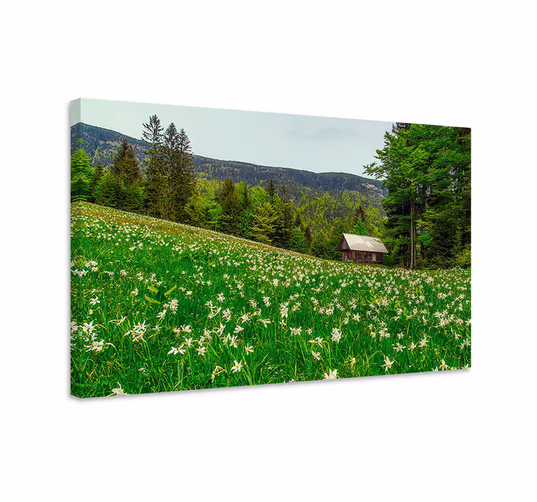Landscape canvas charming country cabin - TenStickers