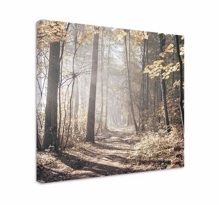 Landscape canvas misty pathway - TenStickers