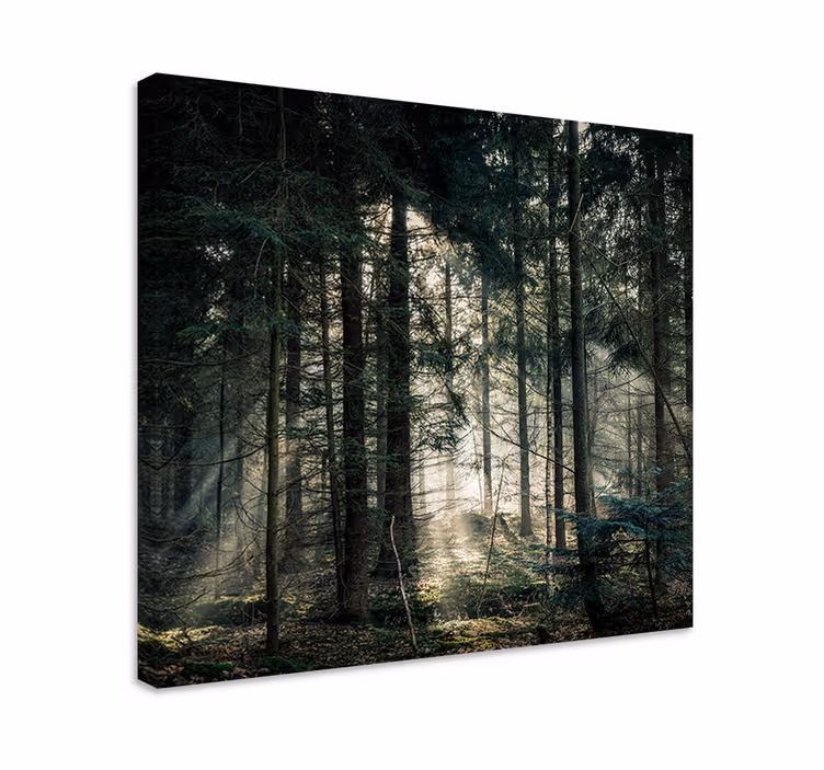 Nature forest with dark tones Tree wall canvas - TenStickers