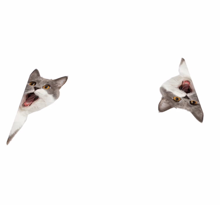 Animal vinyl rug cat spying on white background - TenStickers