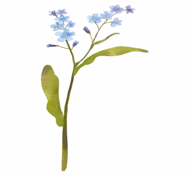 Forget-me-not flower vinyl rug - TenStickers