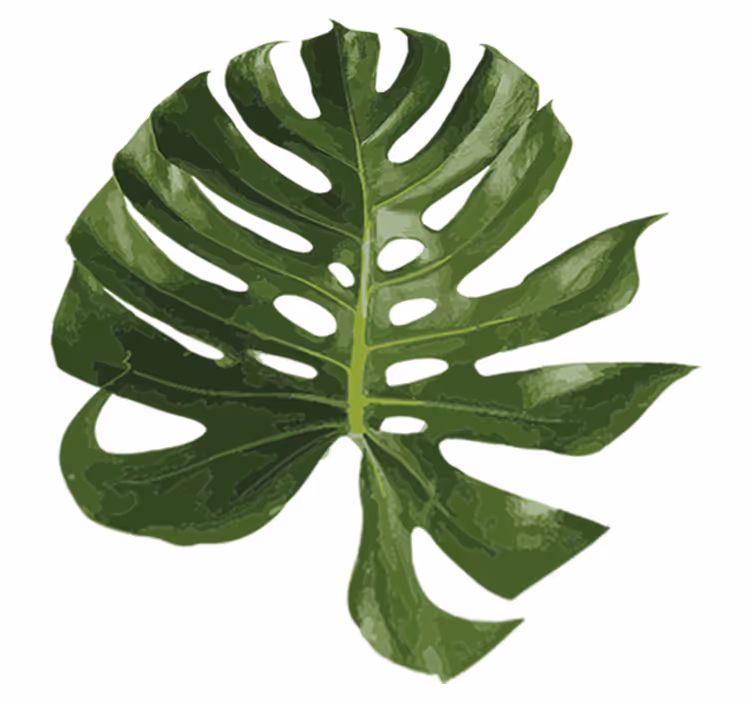 Floral vinyl rug with tasty monstera leaf design - TenStickers