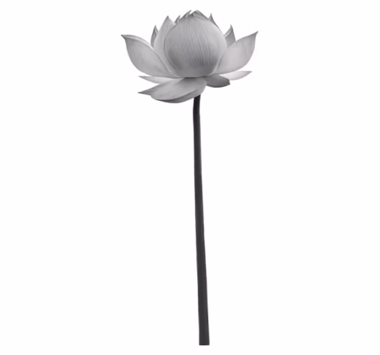 Bedroom vinyl rug lotus solitary bloom - TenStickers