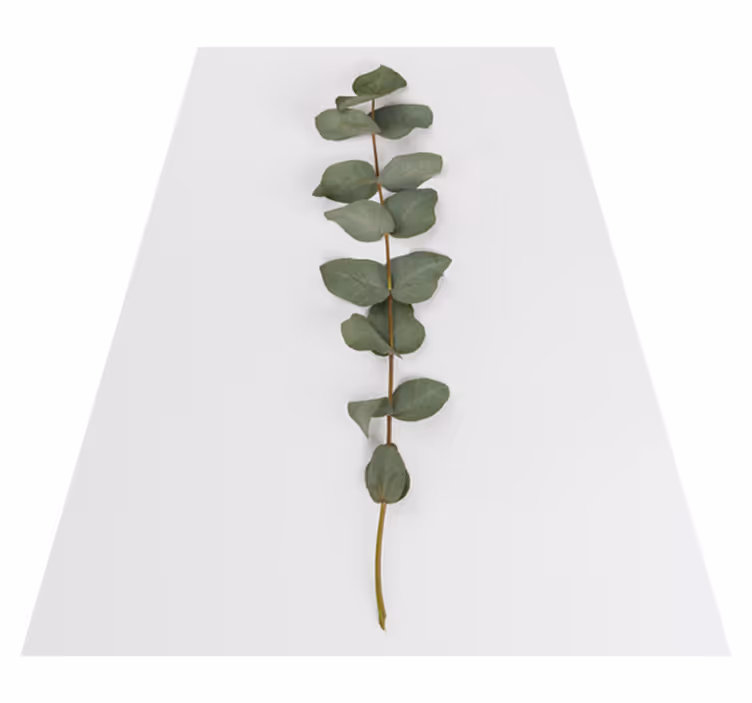 Floral vinyl rug with eucalyptus leaves design - TenStickers