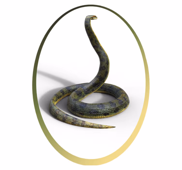 Snake print inspiration animal vinyl rug - TenStickers