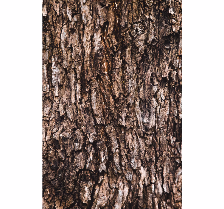 Textured wallpaper with bark surface - TenStickers