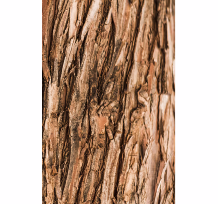 Living room wallpaper tree bark design - TenStickers