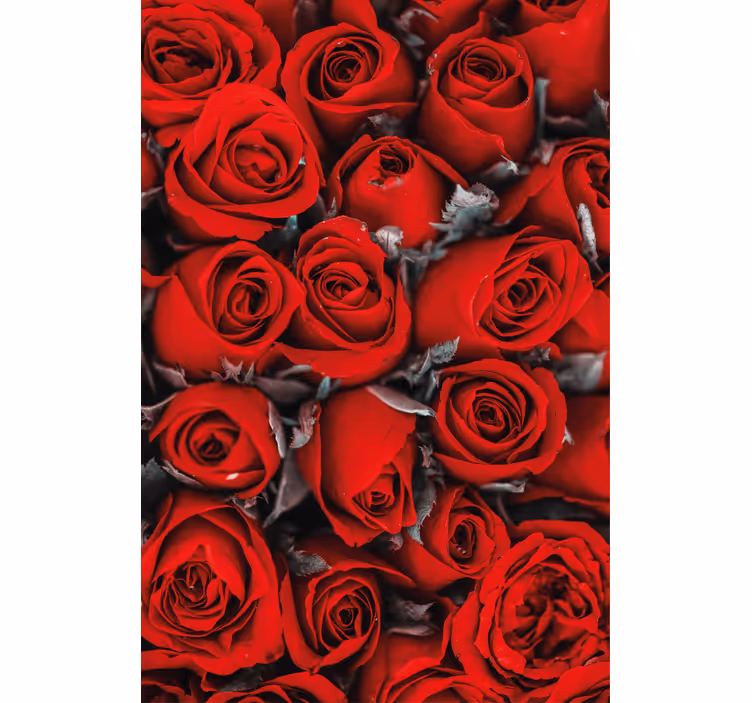 Flower wallpaper red roses romance - TenStickers