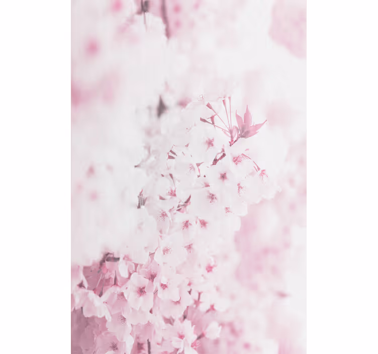 Flower wallpaper light pink floral backdrop - TenStickers