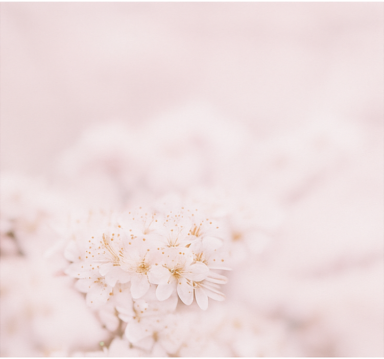 Delicate cherry blossoms master bedroom roller blind - TenStickers