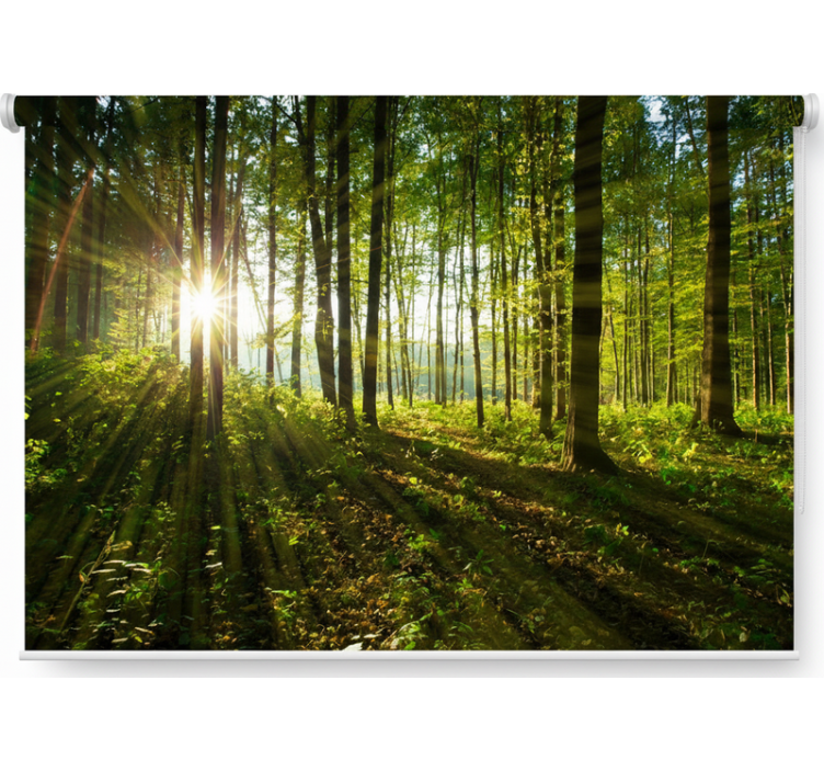 Tree roller blind in golden sunburst woods - TenStickers